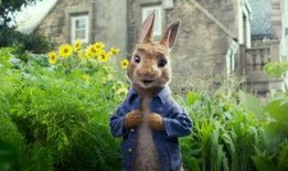 圈内人爆料桃浦兔王,揭秘网红背后的神秘故事